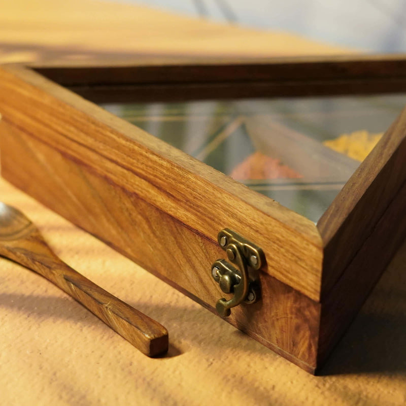 Wooden Triangular Spice Organizer and Spoon