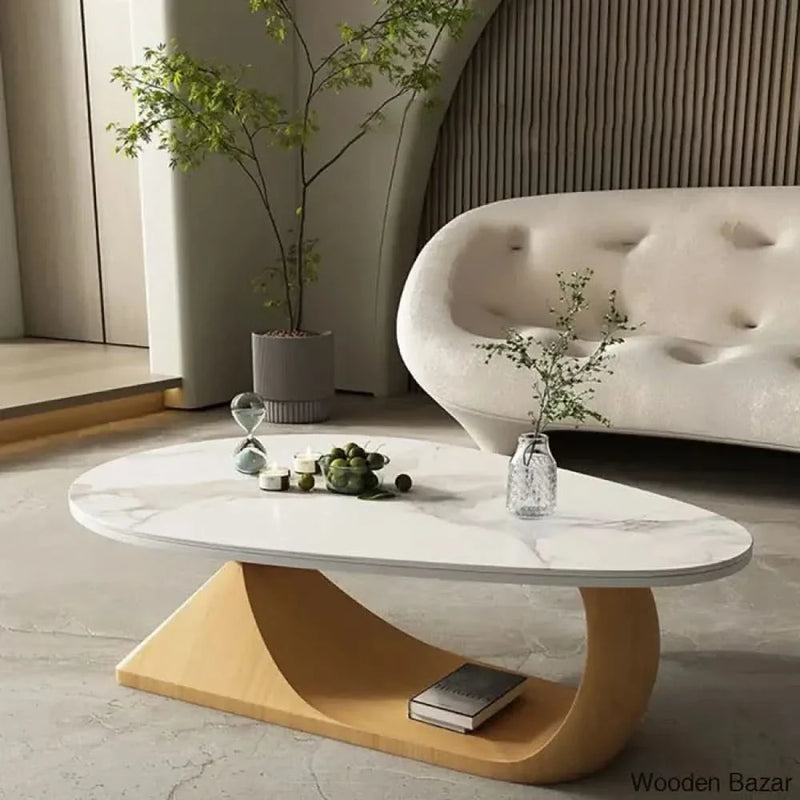 Albanese Abstract Coffee Table with Storage- Craft Decor