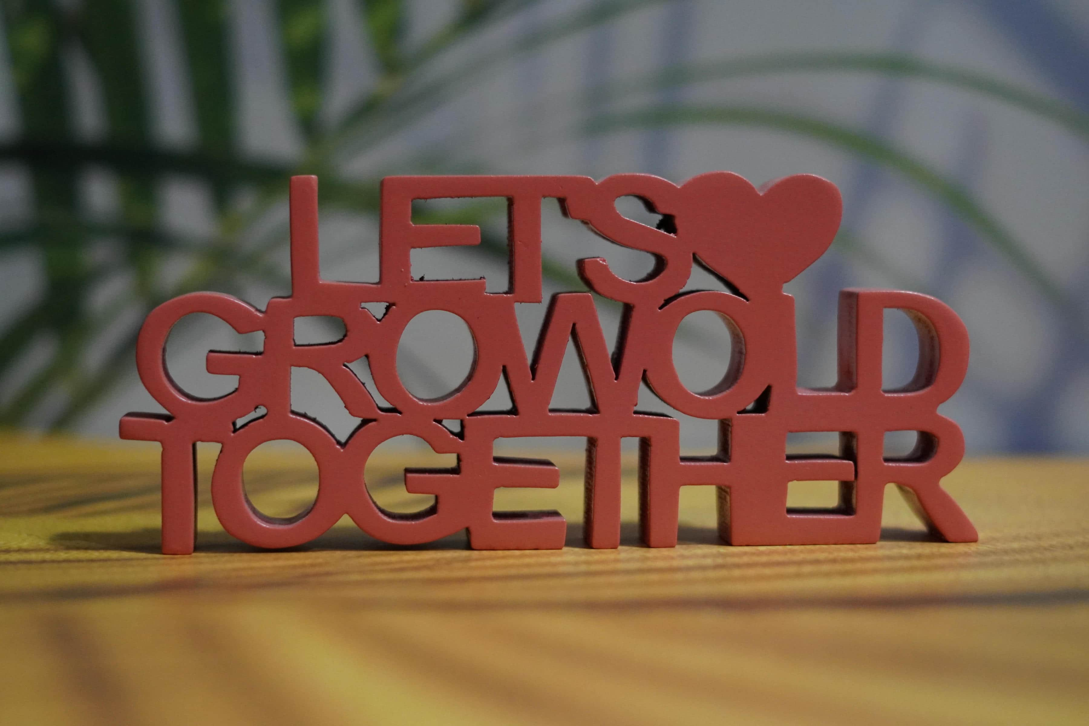 LETS GROW OLD TOGETHER (RED)