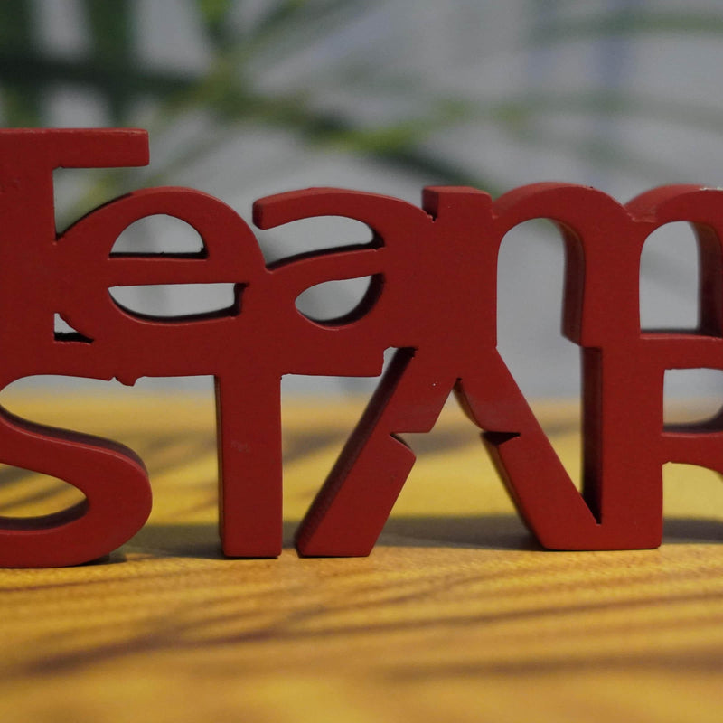 TEAM STAR