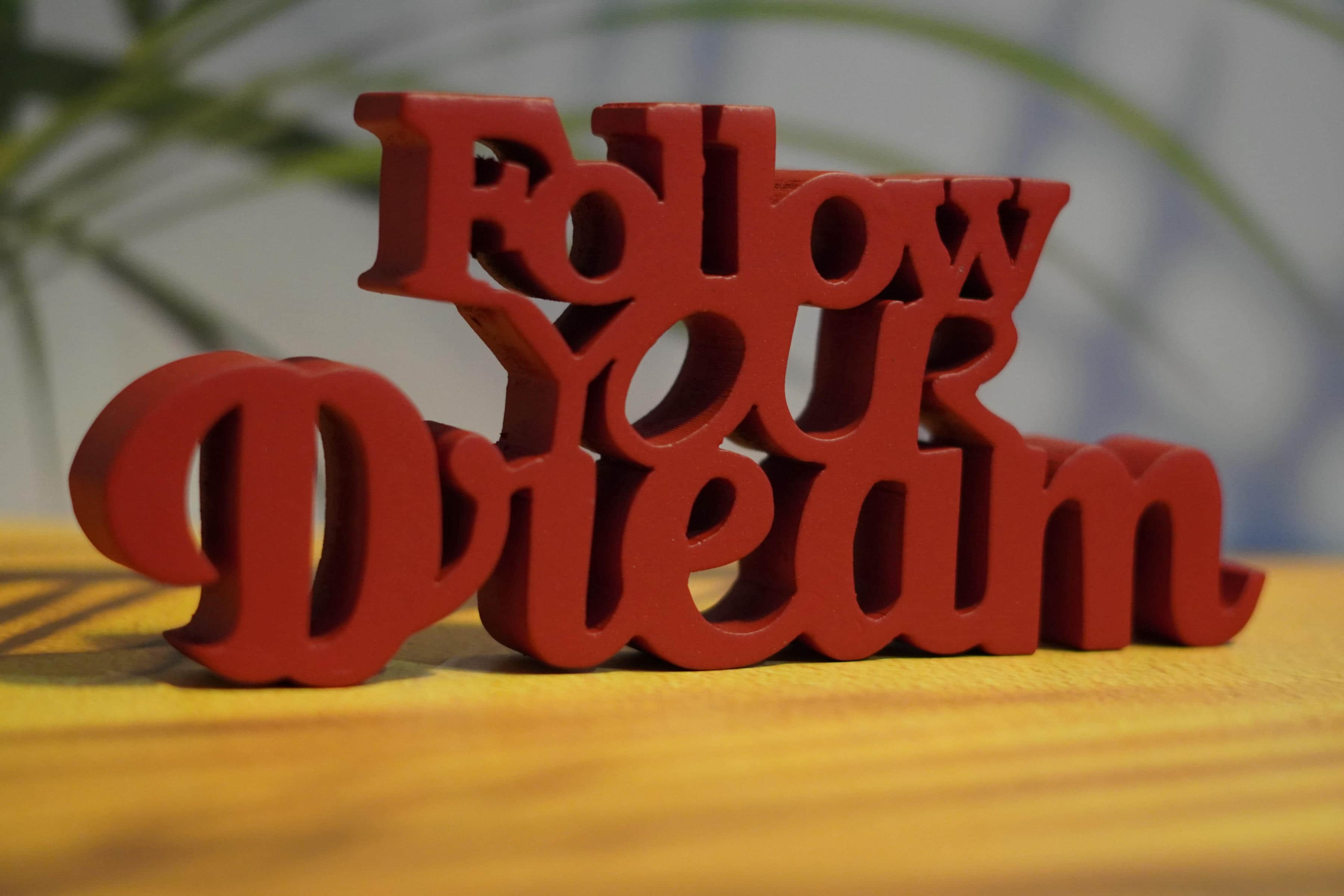 FOLLOW YOUR DREAM