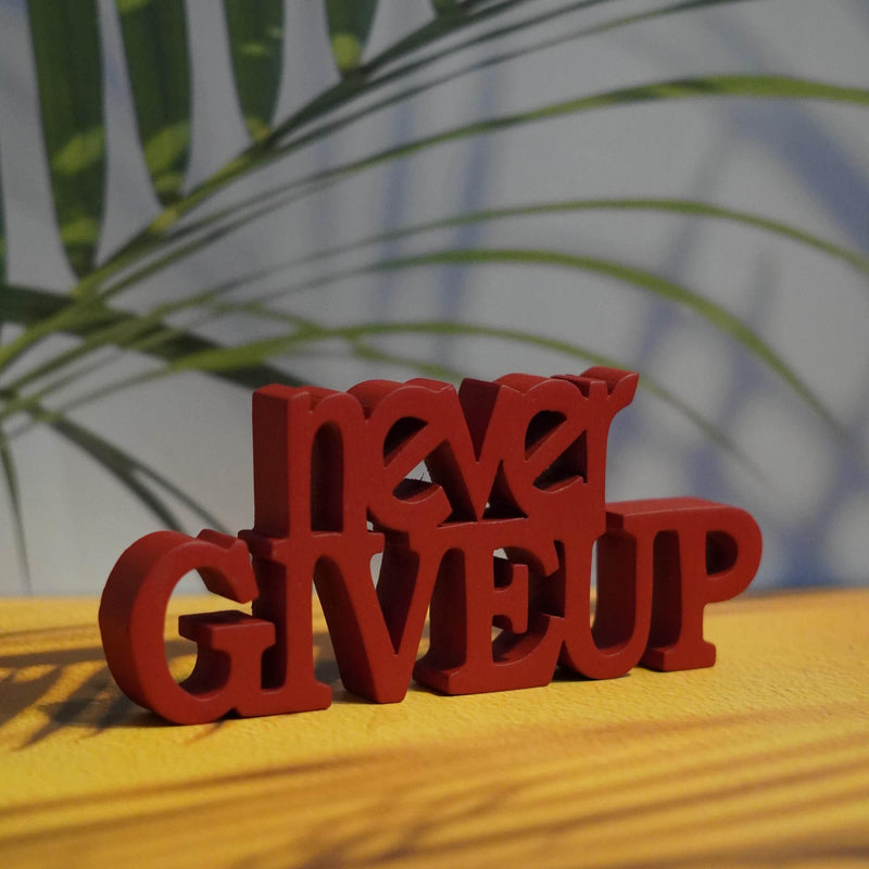 NEVER GIVEUP
