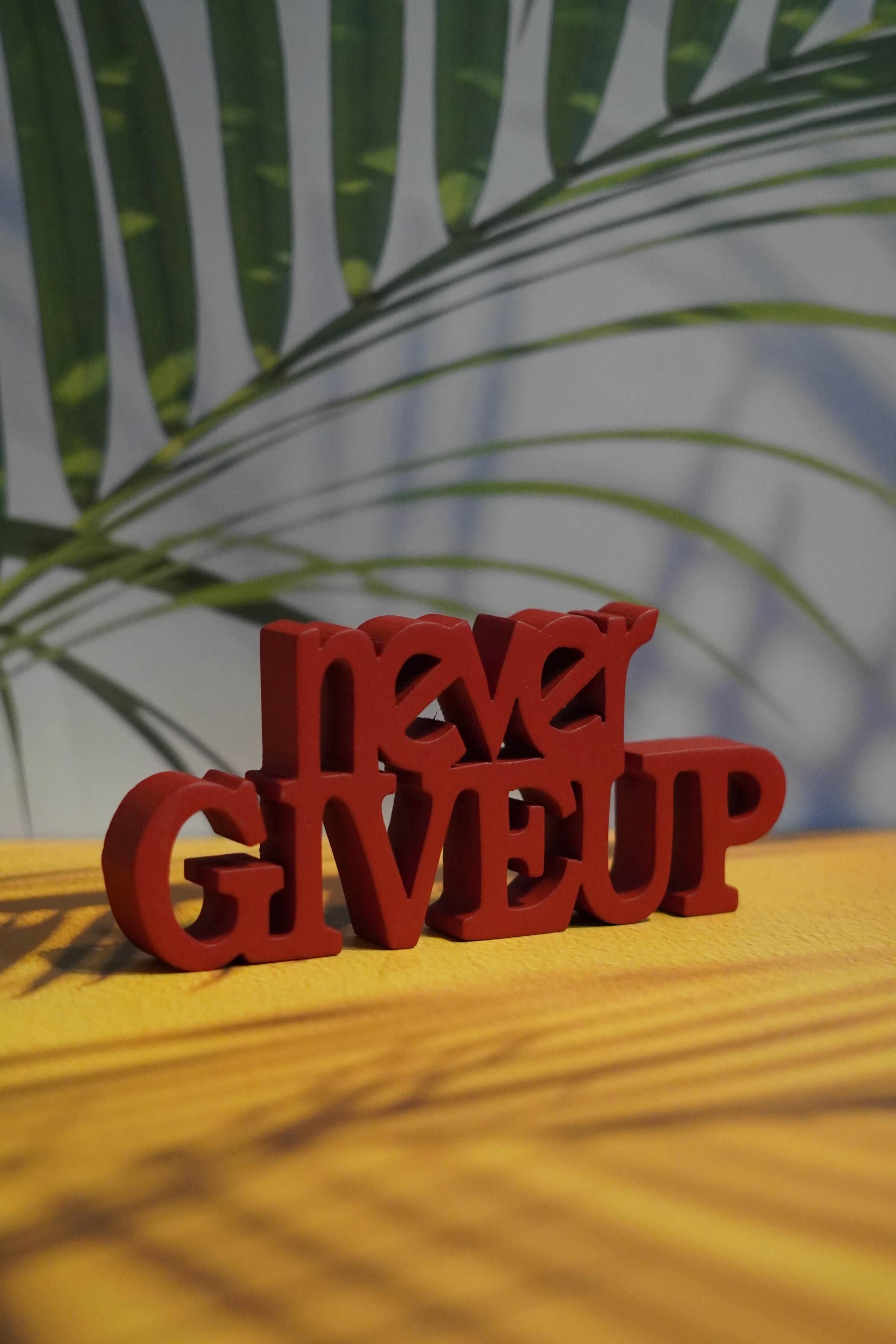 NEVER GIVEUP