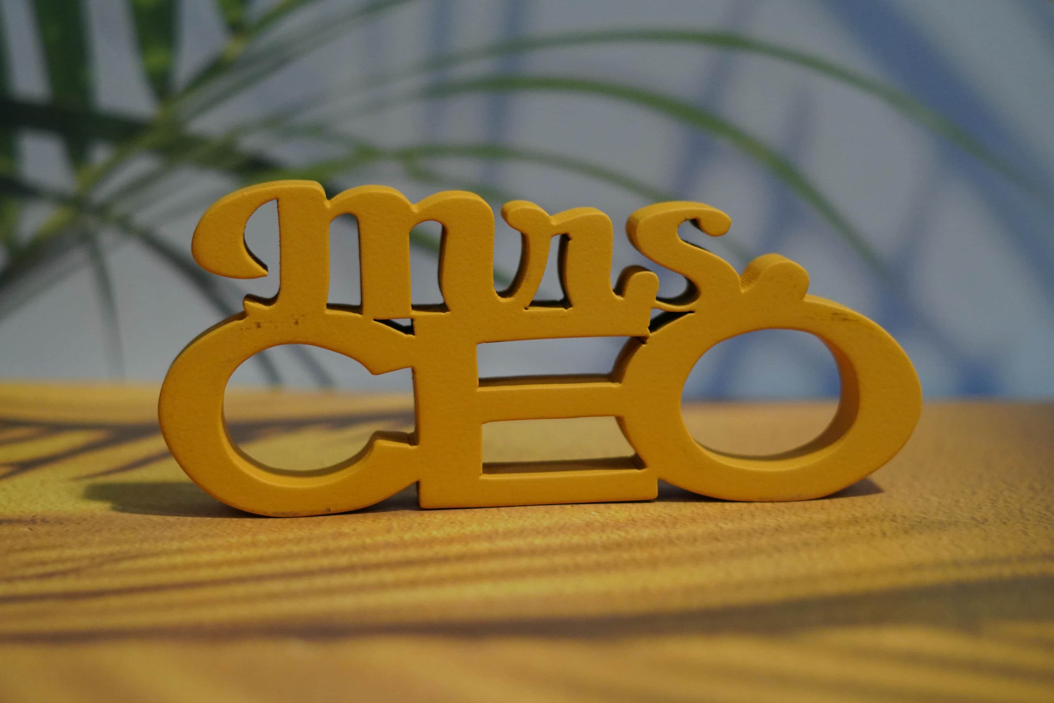 MRS CEO