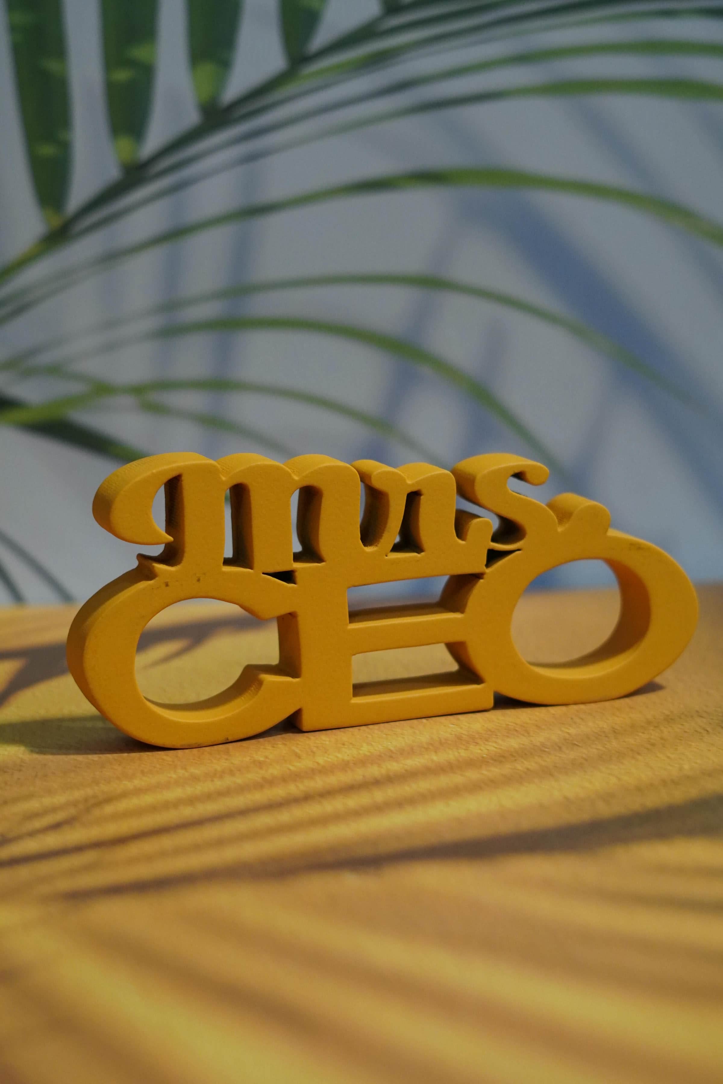 MRS CEO