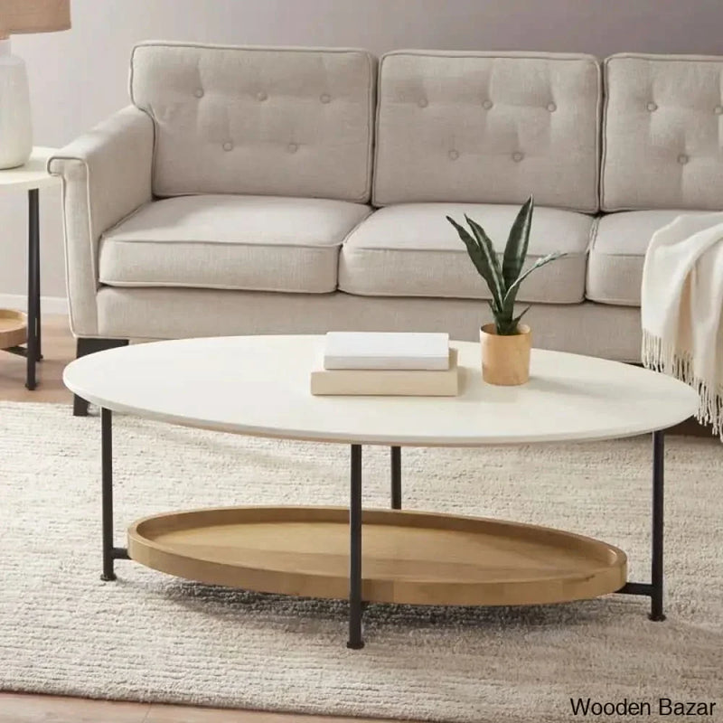 Alasteir 4 Legs Coffee and center Table with Storage
