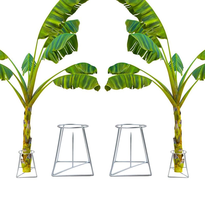 Craft Decor Banana Stand Holder for Pooja (Pack of 2)