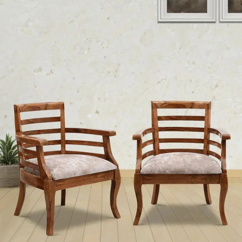 Toldeo (Set of 2) Arm Chair in Brown Colour
