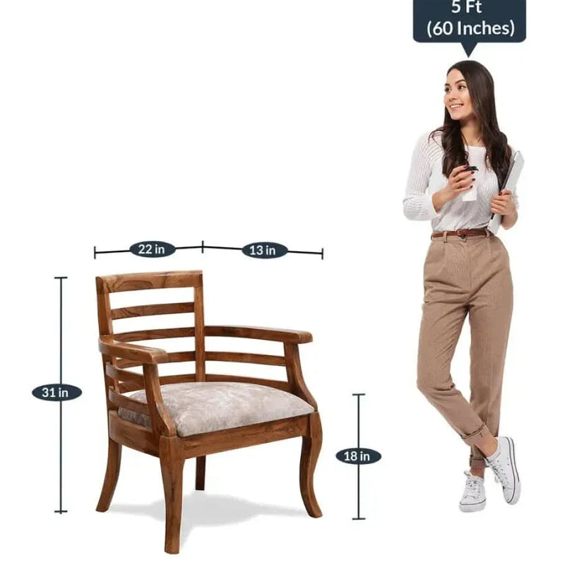 Toldeo (Set of 2) Arm Chair in Brown Colour